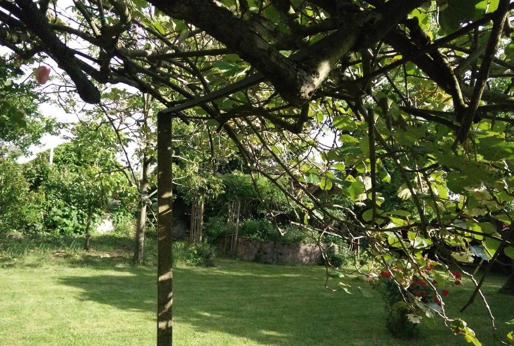 Gentil'Home - Toulouse B&B Prestige Fenouillet  Zewnętrze zdjęcie